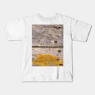 Golden Lichen on weathered wood Kids T-Shirt